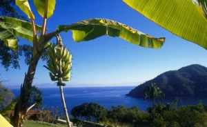 A breathtaking ocean view at a luxury resort, the perfect setting for the Hold Me TIght Marriage Retreat, designed to help couples strengthen their bond in a peaceful and intimate environment.